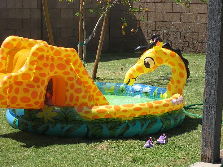 Giraffe Pool 4.JPG